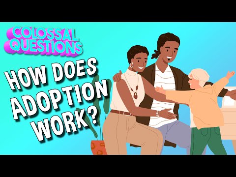 How Does Adoption Work Colossal Questions Safe Videos For Kids
