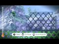 littlebigplanet psp review