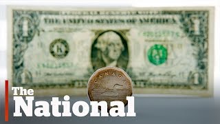 What’s behind the loonie’s rise?