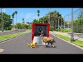 GTA V : BABY LIONESS SAVING DEER 😱😮| #shorts