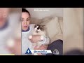 1 Hour Of Funniest Animals 😅 New Funny Cats and Dogs Videos 😸🐶coy billu