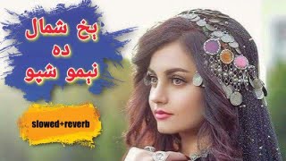 musafar lalay pa kamo sangaro zarsha ahwal rawra || #pashto #slowandreverb