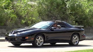 The Bandit - 1999 Pontiac Trans Am WS6 Ram Air 6-Speed Texas American Muscle Car T/A