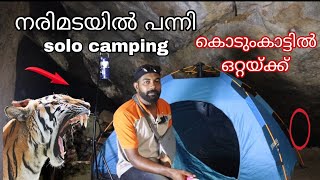 നരിമടയിൽ ഒരു രാത്രി 🐯കൊടുംകാട്ടിൽ 😝solo camping kerala നരിമടയിൽ പന്നി solo camping malayalam