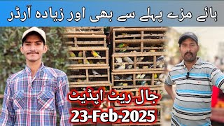 Jaal Rate Update 23-Feb-2025 | Birds Market Update | Lalukhet Birds Market Latest Updates 2025