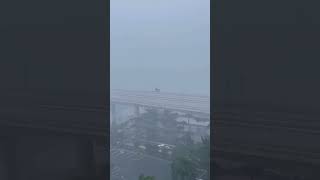 Rains and Winds Caught On Camerain in Fort Lauderdale  # 148