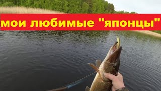 Мои любимые японцы