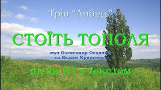 Стоїть тополя (+) з текстом тріо Либідь