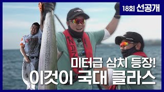 [선공개]  미터급 삼치의 등장?! 역시 국대 클라쓰 | 도시어부3 18회