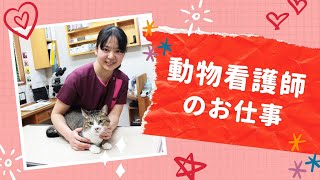 飼い主さん必見！ペットの健康管理を知ろう！【国際ペットワールド専門学校】