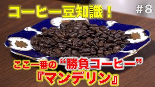 すぐ分かる！コーヒー豆紹介「ここ一番の❝勝負コーヒー❞マンデリン」