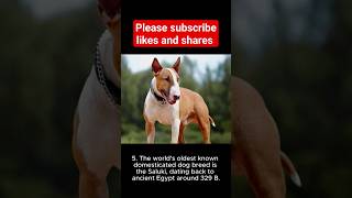 Top 5 unbelievable facts about Dogs 🐕 😱 #facts #shorts #shortsfeed #viral #youtube #ytshorts #short