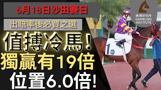 【賽馬貼士】6月18日 值搏冷馬！｜獨贏有19倍 位置都有6.0倍！值得一搏！