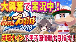 【パワプロ2018】#2転生OB佐々岡、山崎GET！弱小から強豪校春の甲子園出場！！栄冠ナインで甲子園優勝を目指して　ゆうな、マネを全力で頑張ります【実況パワフルプロ野球2018】