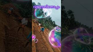 വയനാടിനൊപ്പം #youtubeshorts #yt #shortsfeed #shortsvideo #shortvideo #shorts #shortsviral #short