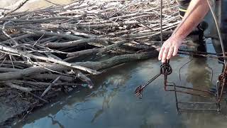 Beaver Trapping the Mighty Mississippi (sketchy check)