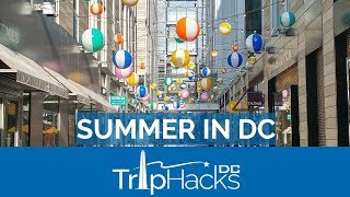 5 BEST Summer Things to do in Washington DC