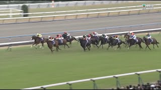 日本女皇伊利沙伯二世盃 Queen Elizabeth II Cup 一級賽 G1 2200m 2023-11-12 寬道路 Brede Weg 京都競馬場 Kyoto Racecourse