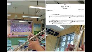 (Syl. 2023) Trumpet G1B7 Xiao BaiCai, Trad Chinese