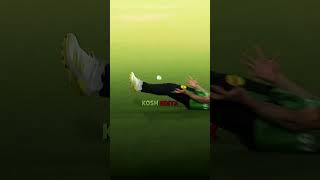 impossible catch ever | #cricket #shorts #sg