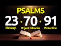 Psalm 23-35-91: THE ESSENTIAL PSALMS FOR ABUNDANCE, BREAKING SPELLS, AND PROTECTION.