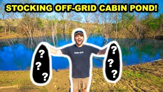 STOCKING My Off-Grid CABIN Backyard POND with BASS!!!