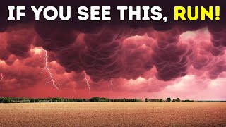 Weird Natural Phenomena That Will Creep You Out