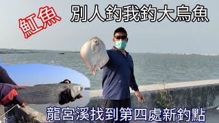 魟魚別人釣 我釣大烏魚，嘉義布袋龍宮溪尋獲第四處烏魚新釣點（172集）@Pin338548