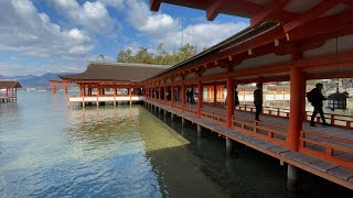 宮島・厳島神社