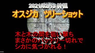 【閲覧注意】 狩猟　オスジカ　木と木の間を狙い撃ち　まさかのバッテリー切れ　オス鹿♂　ライフル射撃　TACTACAM　巻き狩り