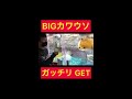 【確率きた】big可愛い嘘のカワウソ get tiktokvideo