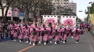 新琴似天舞龍神＠2014　草加ふささら踊るん♪よさこい・流し会場③