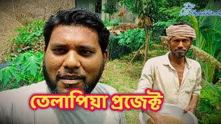 আমার তেলাপিয়া মাছের প্রজেক্ট ।  লাভজনক মনোসেক্স তেলাপিয়া চাষ