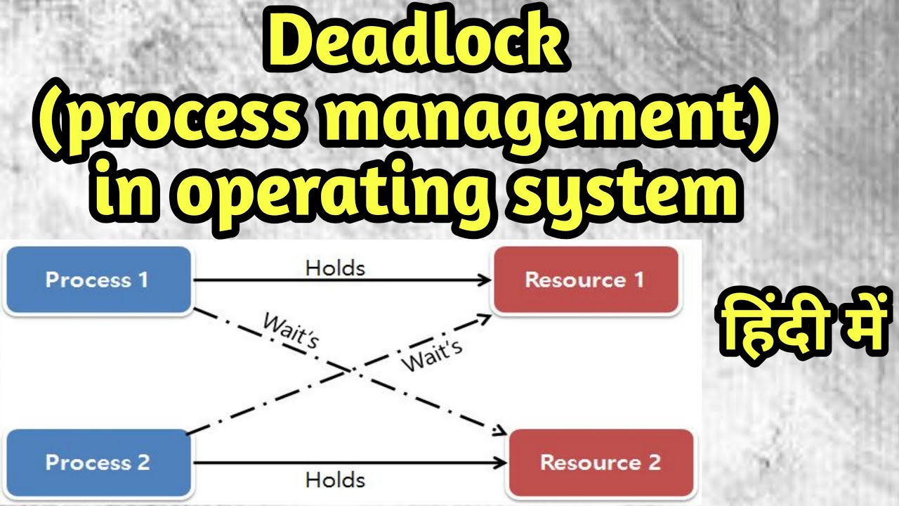 Deadlock In Os Plorazebra
