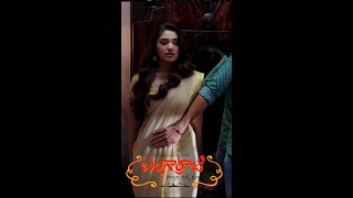 Shorts of Bangarraju Movie | Akkineni Nagarjuna | Naga Chaitanya | RamyaKrishna | Krithi Shetty.