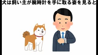 犬と飼い主との愛情表現の雑学