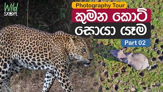 Wildlife Photography Tour | Kumana National Park Sri Lanka | කුමන ජාතික වනෝද්‍යානය | Part 2