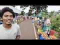 pine apple harvesting ఫైనాపిల్ తోట నుండి మార్కెట్ వరకు