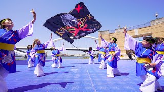 [4K] よさこいチーム絆葵〜つなぎ〜 ①　踊らんかい!!岸和田よさこいBAYSIDE!! 2024