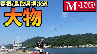 山陰最強のチヌ釣り場で競技会に参戦！ウキを消し込む大物が…楽しすぎて異世界でした！in 境水道