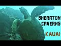 Kauai Adventure Day 3: Sheraton Caverns Dive