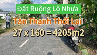 Đất Ruộng Lộ Nhựa Thới Lai | Đất Vuông Đẹp Hậu Gáp Kinh