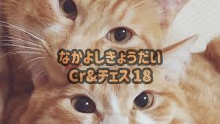 なかよしきょうだいCr＆チェス18【ヒラヒラを求めて】