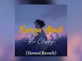 Bunga Abadi - Rio Clappy [Cover by Farizaldi92] (Slowed + Reverb)