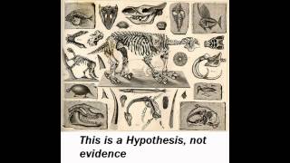 Rational Science 101: Evidence = Experience. Evidence is not objective.