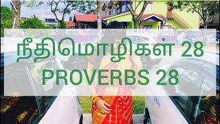 நீதிமொழிகள் 28 | PROVERBS 28 | Audio Bible in Tamil | DAY 28 | Relaxation