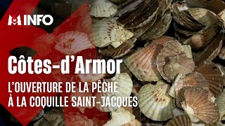 Le début de pêche prometteuse de la coquille Saint-Jacques