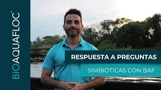 Respondiendo preguntas simbióticas con BAF