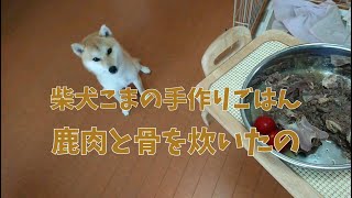 鹿肉と骨の炊いたの｜柴犬こまの手作りごはん【柴犬こま】Shiba Inu eats venison and bones