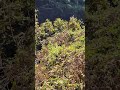 Victoria Falls from Zimbabwean side